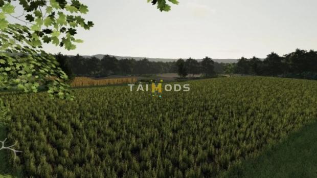 FS19 - Straczkowo Map V1.0 (1.7) FS19 - Straczkowo Map V1.0 (1.7)