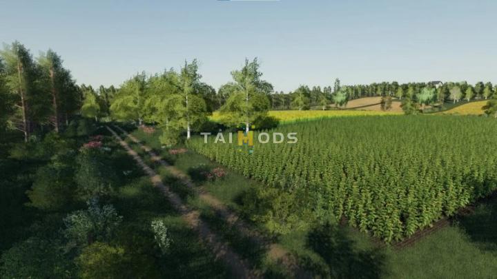 FS19 - Szwagrowice Map V1.0 (1.7) FS19 - Szwagrowice Map V1.0 (1.7)