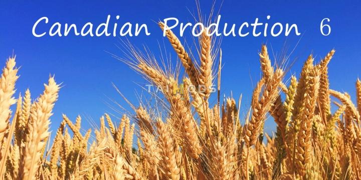 FS19 - Canadian Production Map V6.0 (1.7)