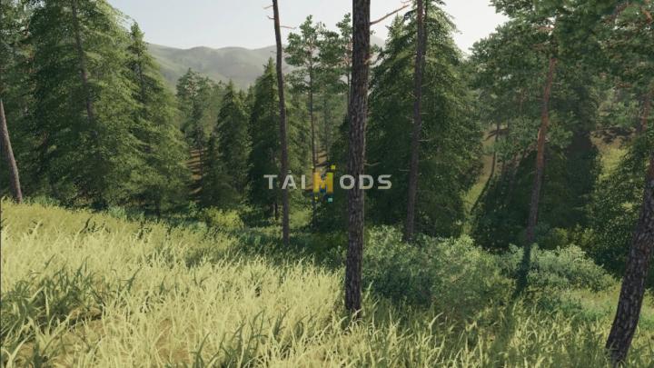 FS19 - Jack Pine Map V1.0 (1.7) FS19 - Jack Pine Map V1.0 (1.7)
