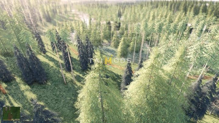 FS19 - Swamp Forest Village Map V1.0 (1.7) FS19 - Swamp Forest Village Map V1.0 (1.7)