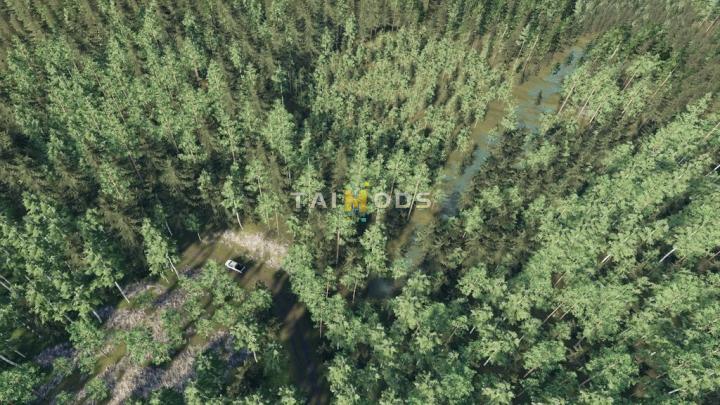 FS19 - Conifer Trees (Prefab) V1.0 (1.7)