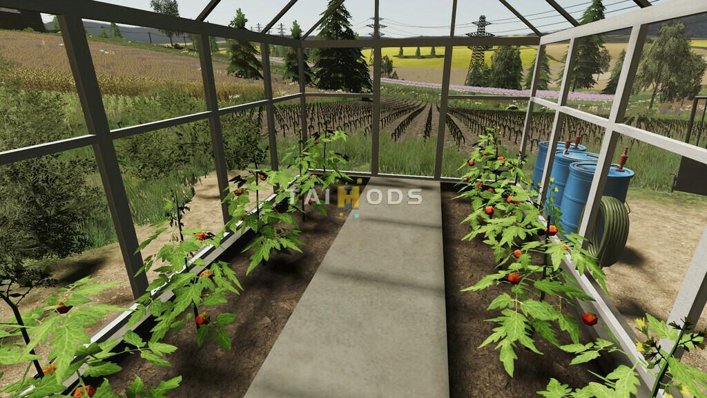 FS19 - Pack Of Polish Greenhouses With Tomatoes V1.1 (1.7) FS19 - Pack Of Polish Greenhouses With Tomatoes V1.1 (1.7)