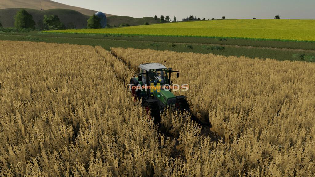 FS19 - Player Pays for Crop Destruction V1.1 (1.7) FS19 - Player Pays for Crop Destruction V1.1 (1.7)