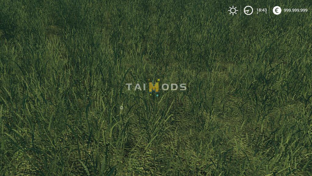FS19 - Real Time V1.0 (1.6) FS19 - Real Time V1.0 (1.6)