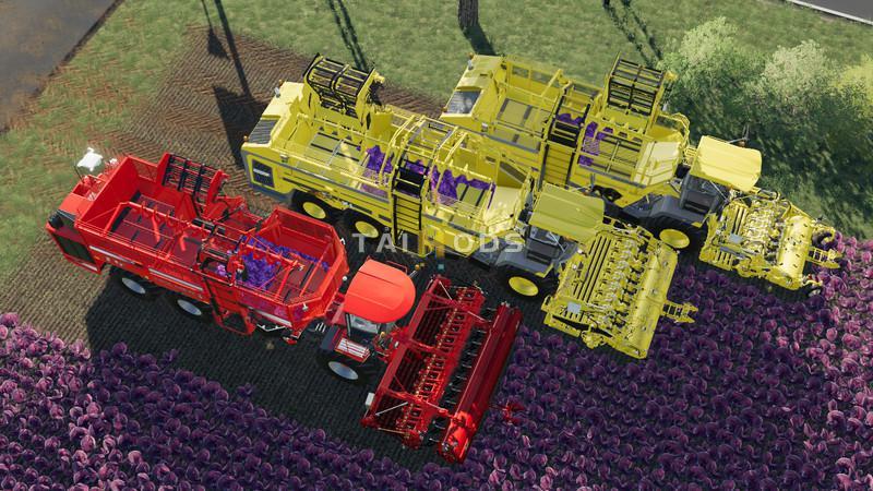 FS19 - Carrots, Onions and Cabbage Crops V1.7 (1.4) FS19 - Carrots, Onions and Cabbage Crops V1.7 (1.4)