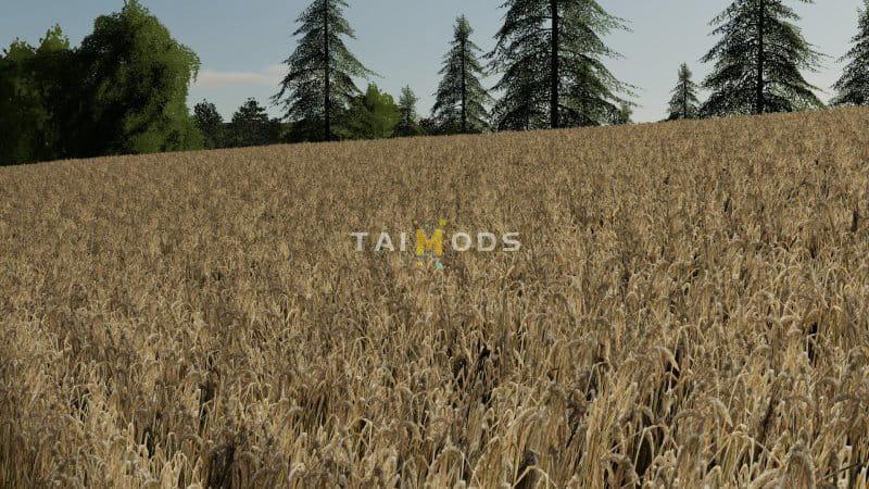 FS19 - Barley / Wheat Texture V1.0 (1.7) FS19 - Barley / Wheat Texture V1.0 (1.7)