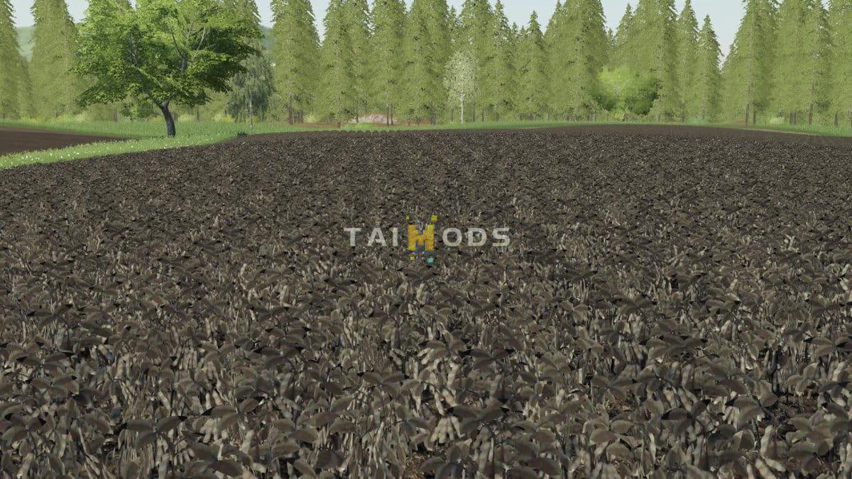 FS19 - Modified Soy Texture V1.0 (1.6) FS19 - Modified Soy Texture V1.0 (1.6)