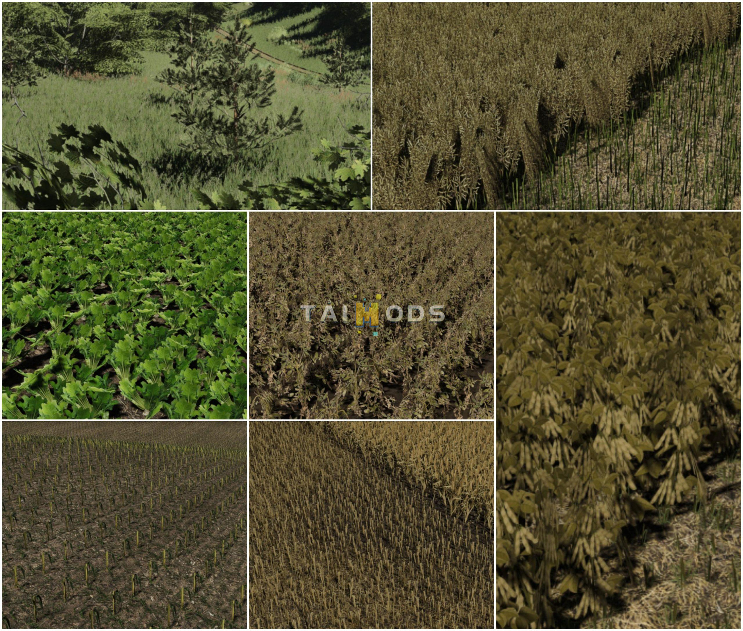 FS19 - Textures Pack V1.0 (1.6) FS19 - Textures Pack V1.0 (1.6)