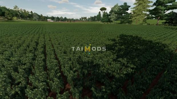 FS22 - Green Gold Farm Map V1.2 (1.13) FS22 - Green Gold Farm Map V1.2 (1.13)