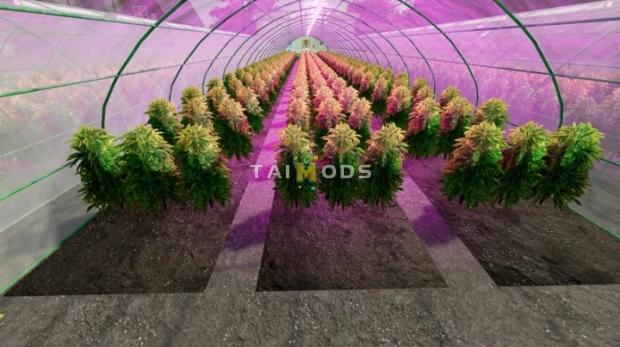 FS22 - Cannabis DLC Pack V1.0 (1.7) FS22 - Cannabis DLC Pack V1.0 (1.7)
