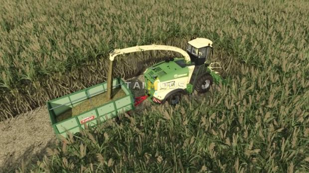 FS25 - Collect 900 For Sugarcane And Poplar V1.0 ()