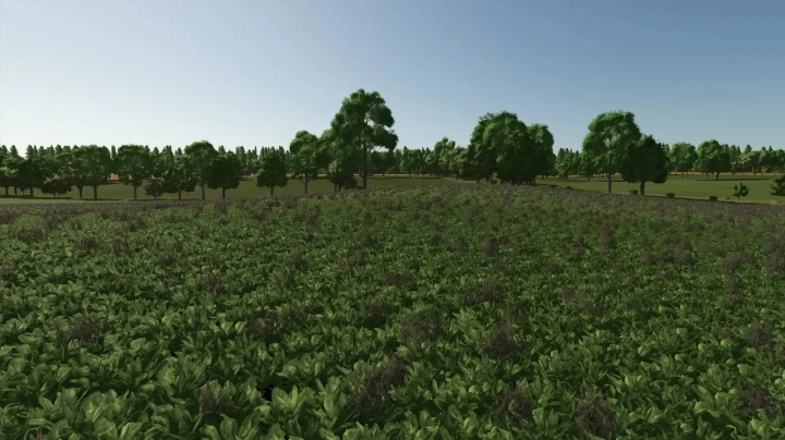 FS25 - FrechDachs Map 4fach V1.0 () FS25 - FrechDachs Map 4fach V1.0 ()