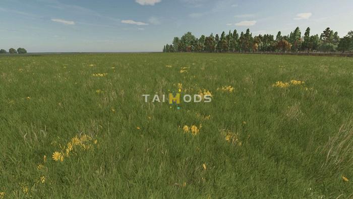 FS25 - Grass with Dandelions and Daisies V1.0 () FS25 - Grass with Dandelions and Daisies V1.0 ()