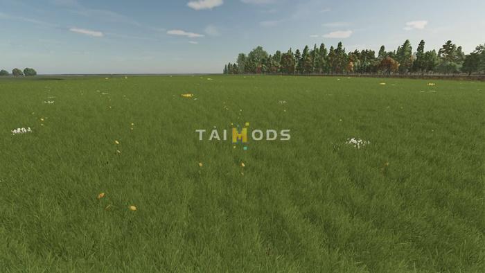 FS25 - Grass with Dandelions and Daisies V1.0 () FS25 - Grass with Dandelions and Daisies V1.0 ()
