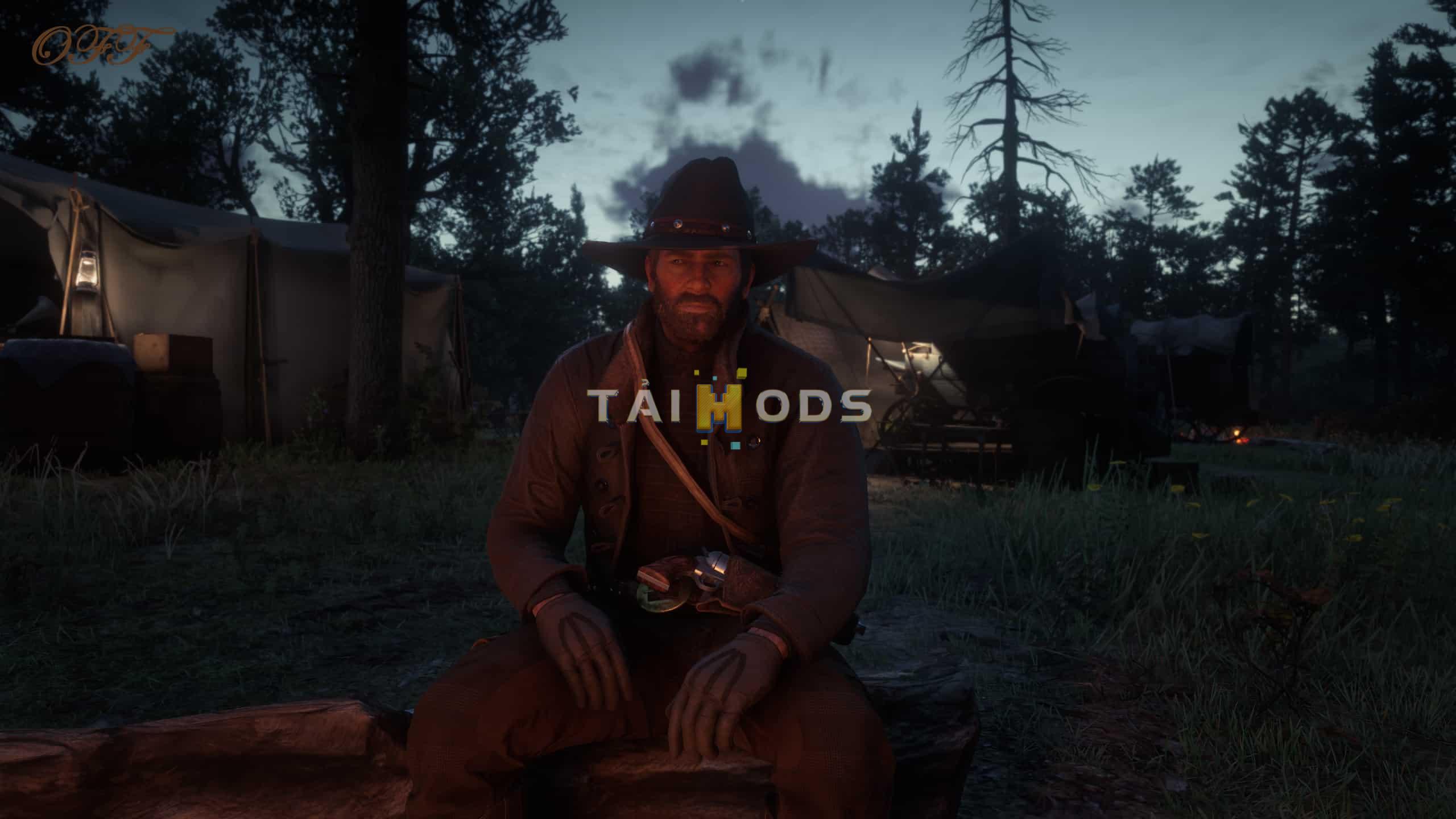RDR2 - My Vision ()