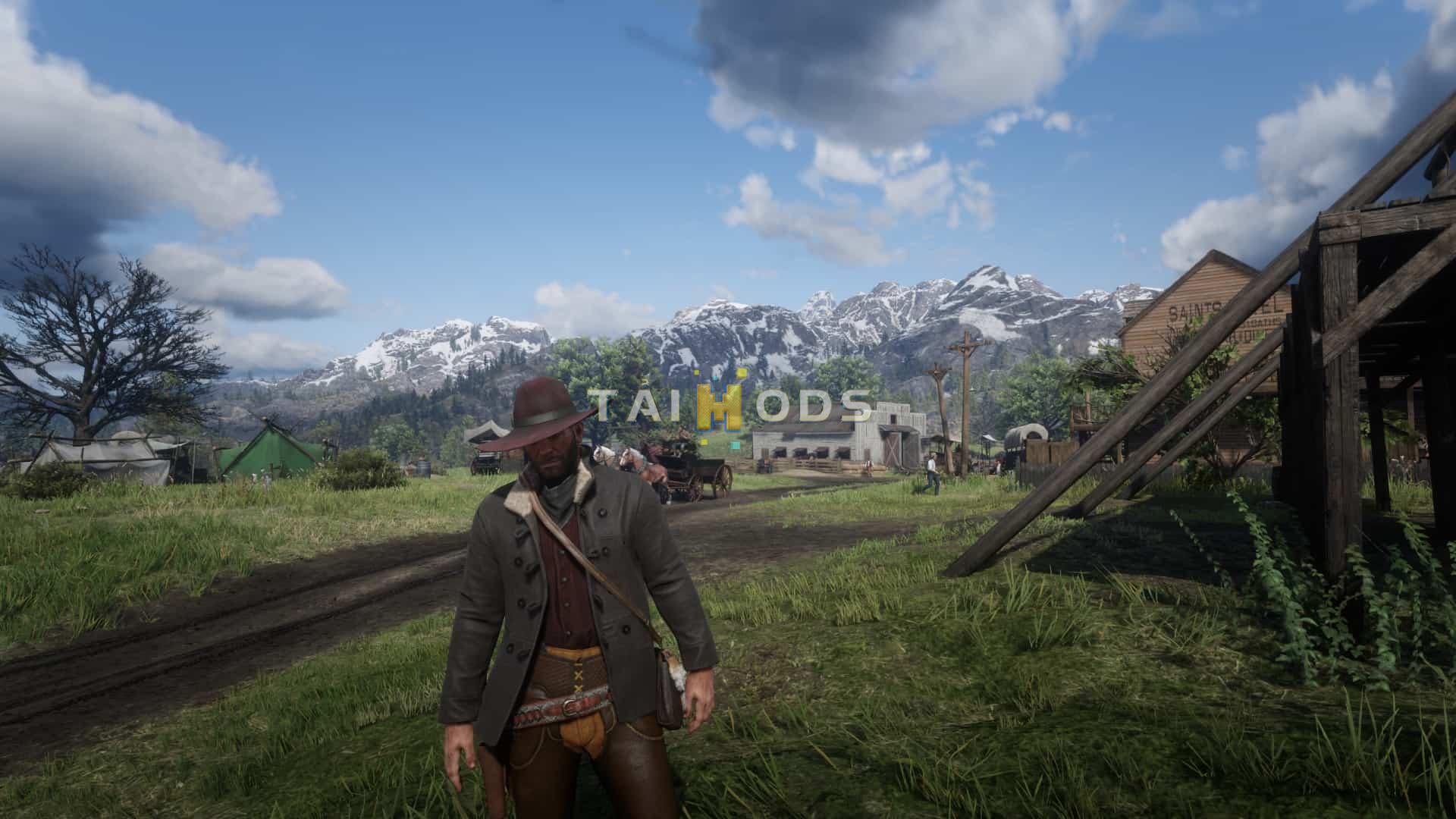 RDR2 - Reduced Vignetting () RDR2 - Reduced Vignetting ()