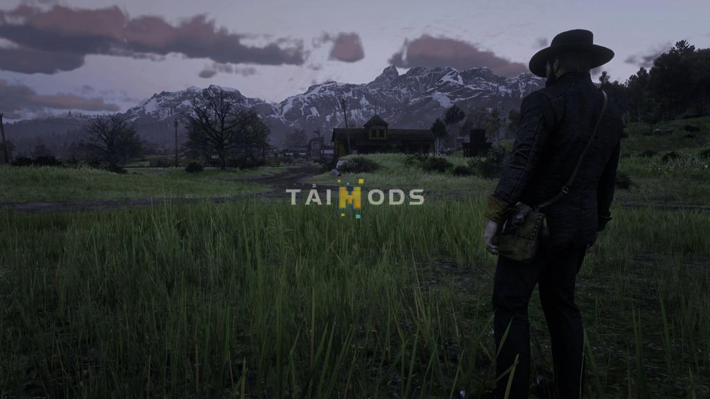 RDR2 - Reshade Natural Vision () RDR2 - Reshade Natural Vision ()