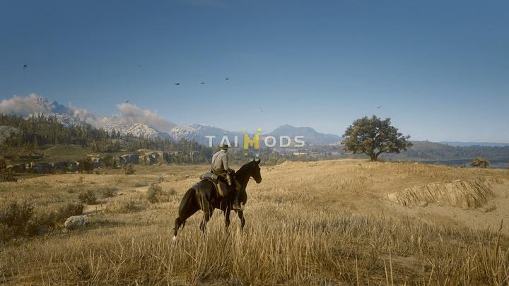 RDR2 - Hailfurys ReShade ()