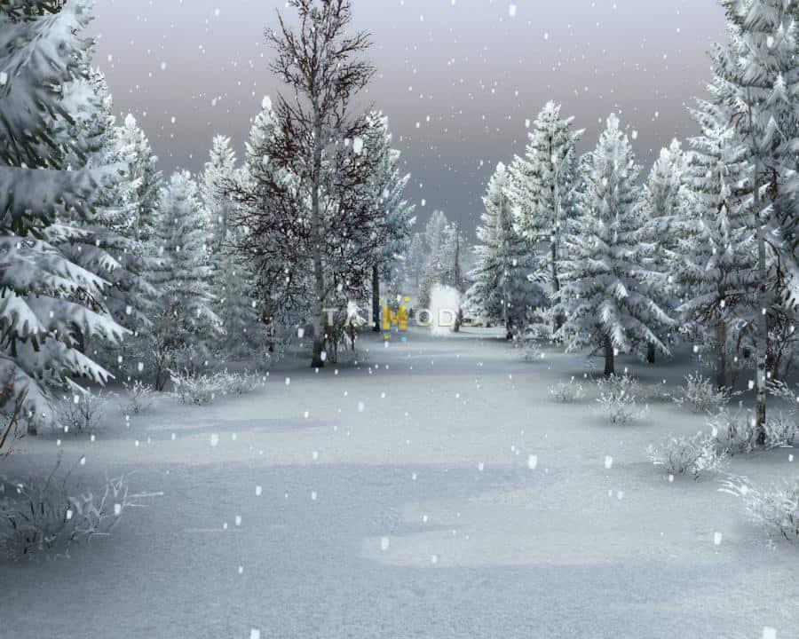 Spintires - Zimushka Map V1.0 (V03.03.16) Spintires - Zimushka Map V1.0 (V03.03.16)