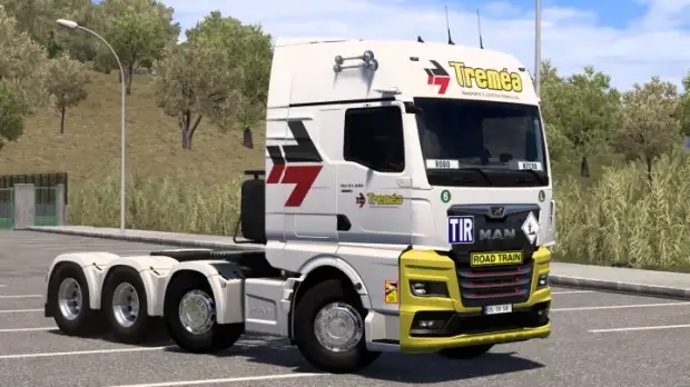 ETS2 - Skin Tremea Man Tg3 TGX V1.0