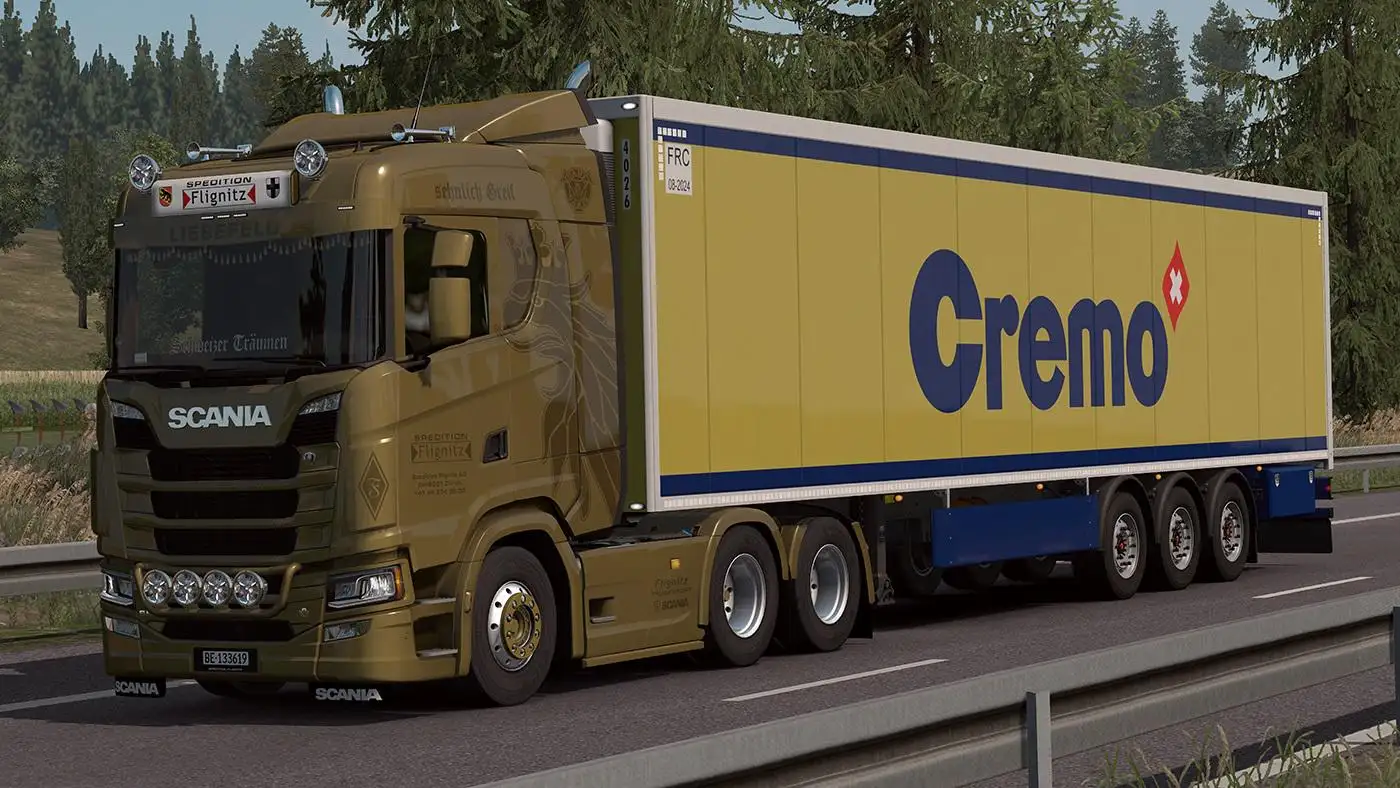 ETS2 - Flignitz CH Trailers Skinpack V1.0 (1.36.x)