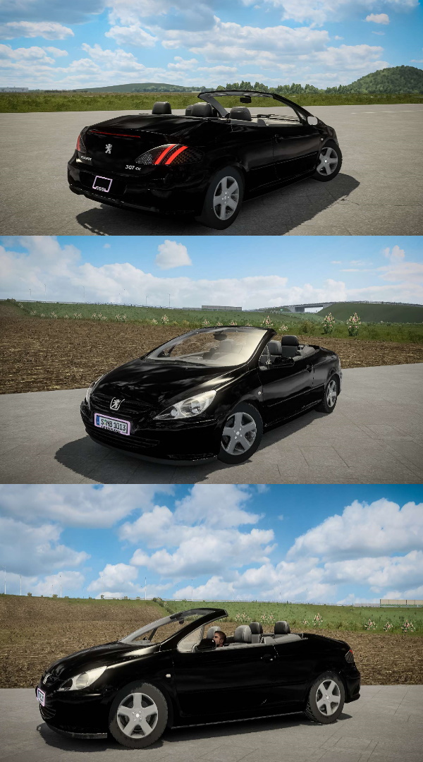 peugeot-307-1_5e09s
